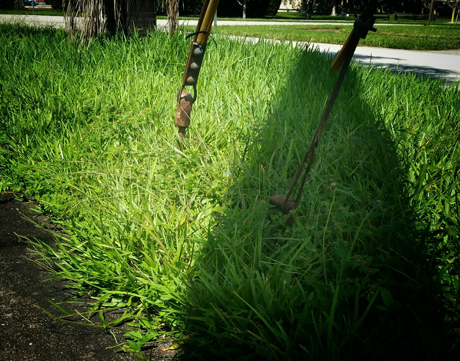 Giving back.... sneaking over, to do there yard work for them!