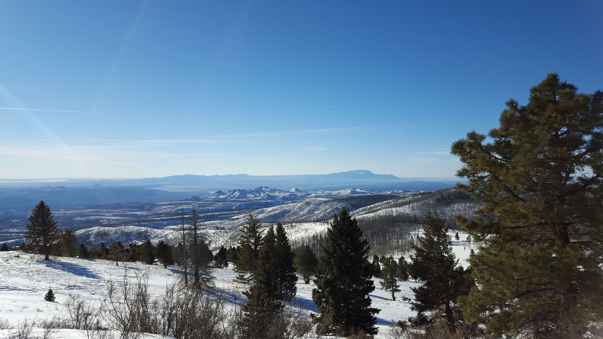 01-jan2016-1.jpg