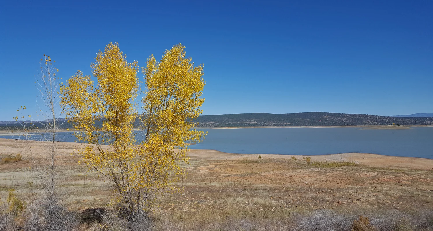 Heron Lake New Mexico