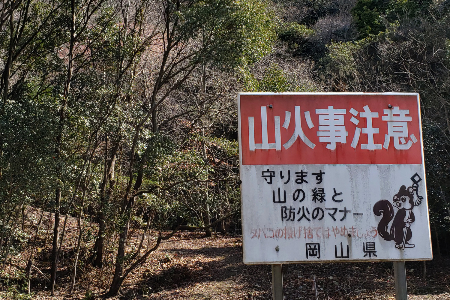 64-Japan.jpg