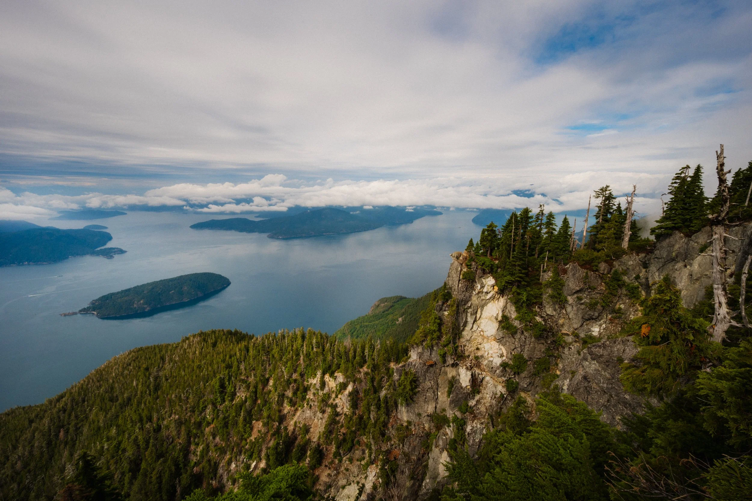 DSC_0253.jpg