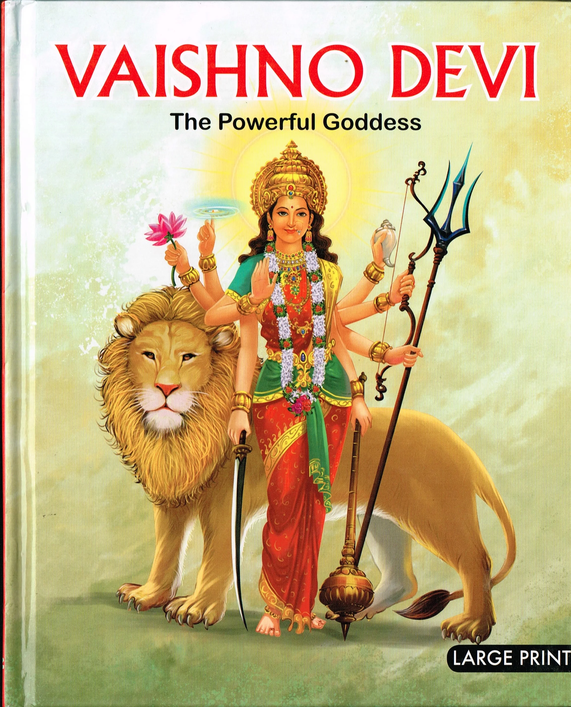 vaishno devi-front.jpg