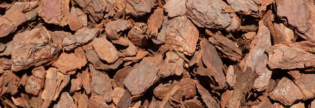 Pine Bark Chips are the best choice for top dressing pots, they are more expensive but much better looking than cheaper bark and wood chips.