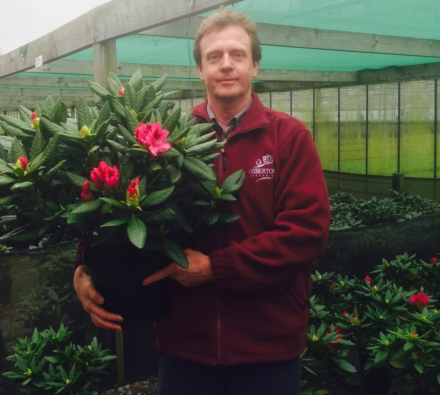 Will Murch with a rhododendron just bursting into flower.