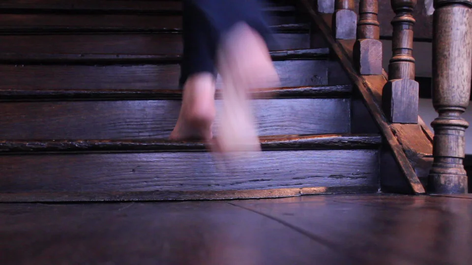 Jane Watt, 406 years of footsteps (Digital Back projection) 2016