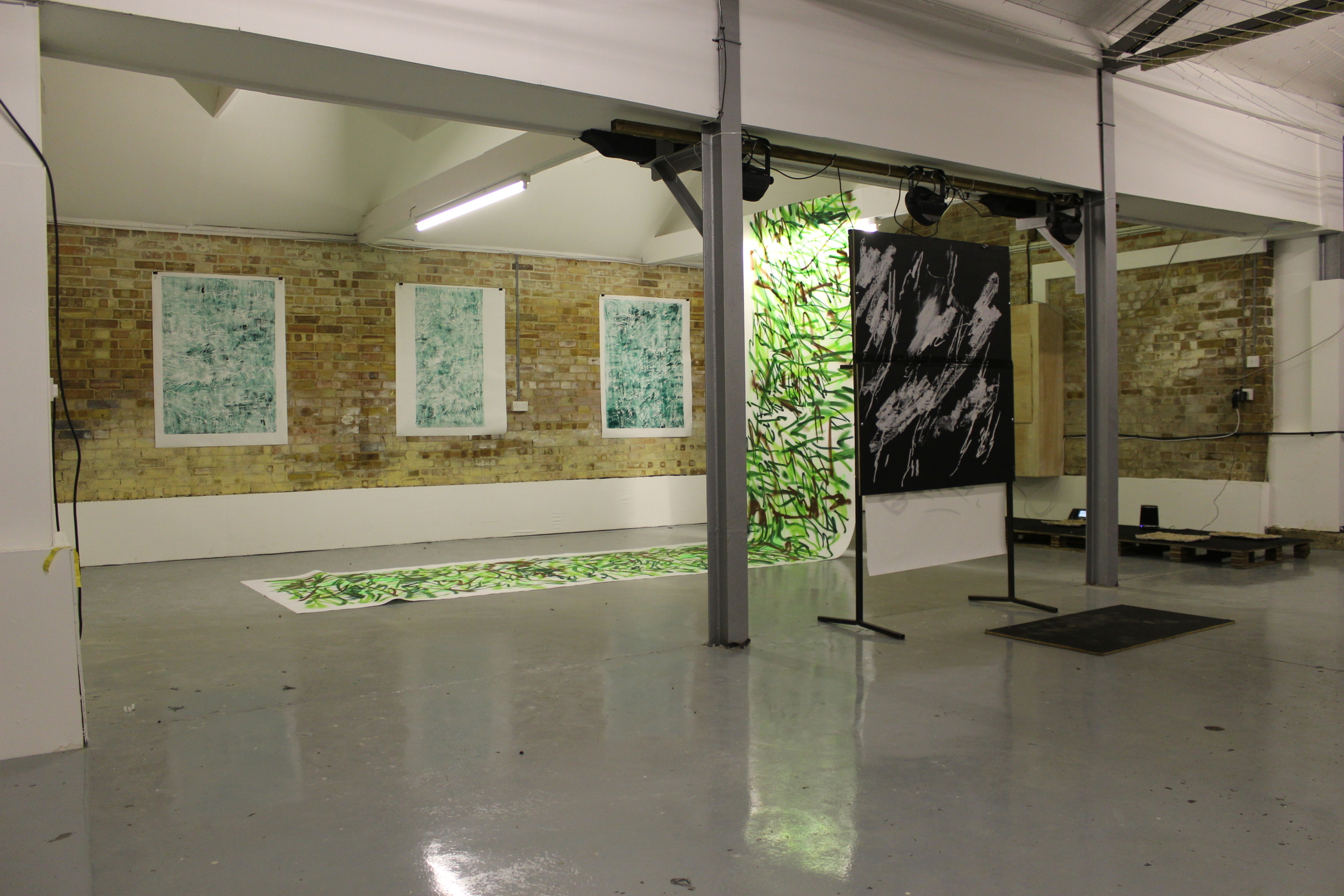 Swans on Heroin (Installation view)