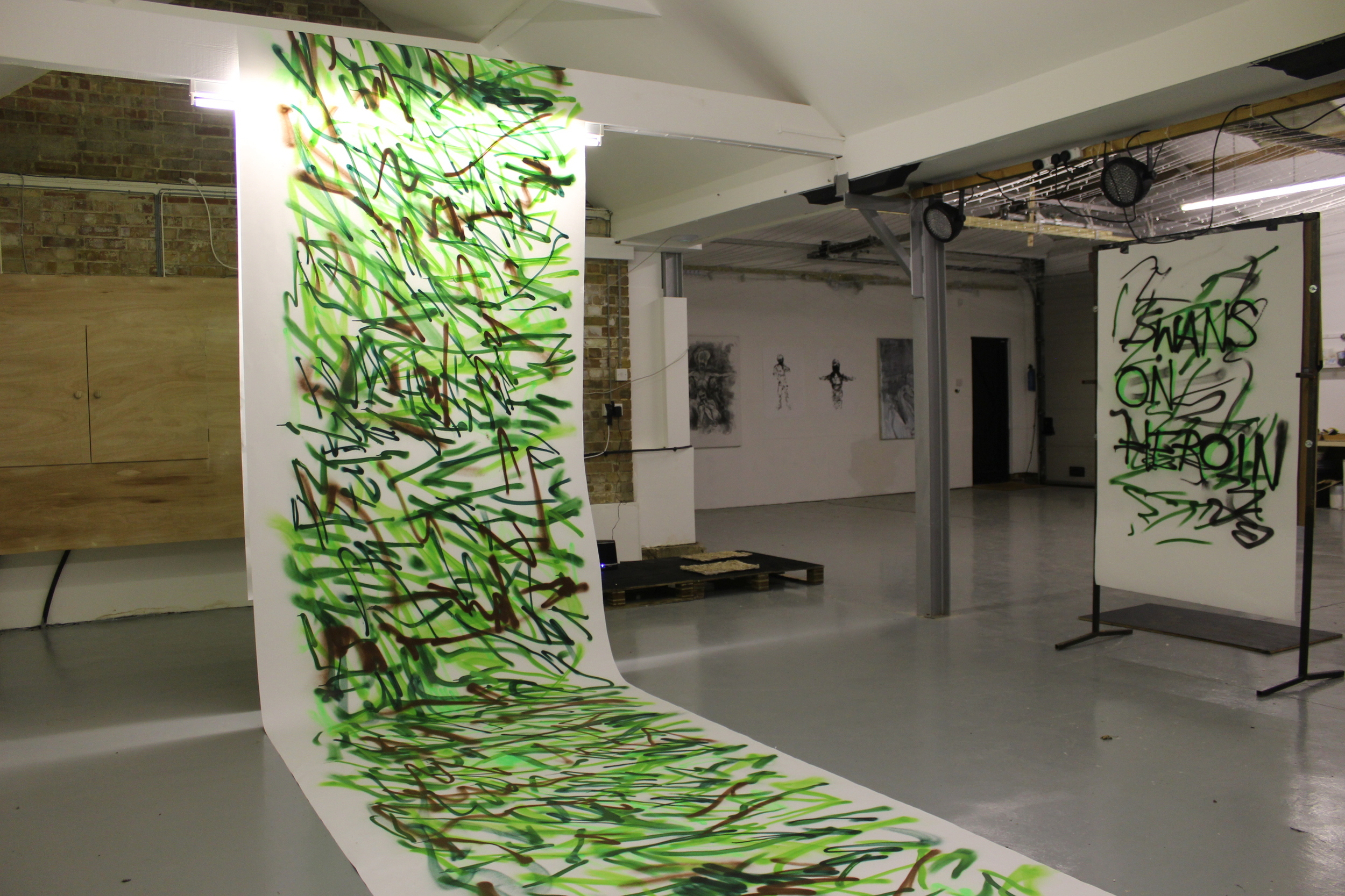 Swans on Heroin (Installation view) 
