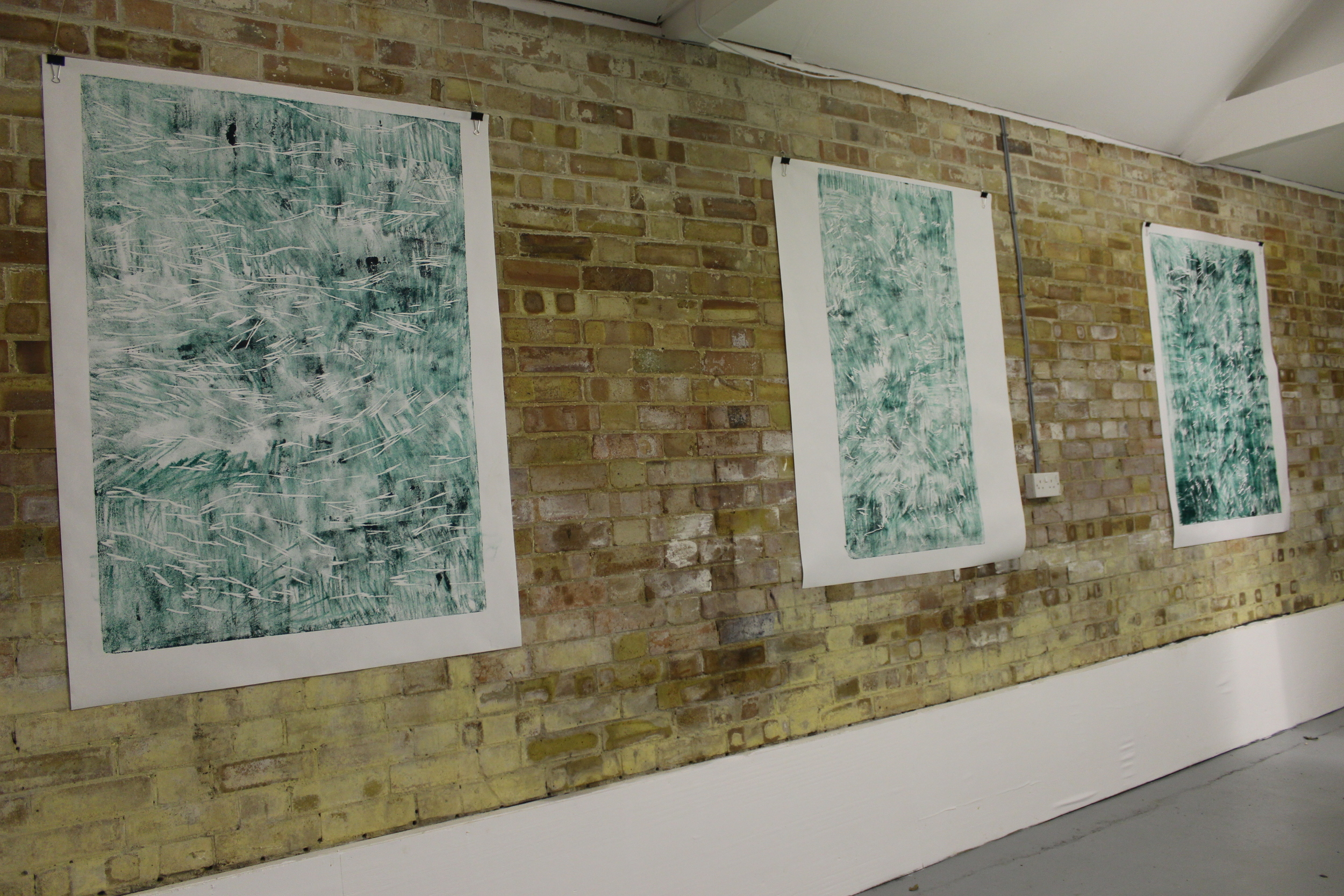Swans on Heroin (Installation view) 