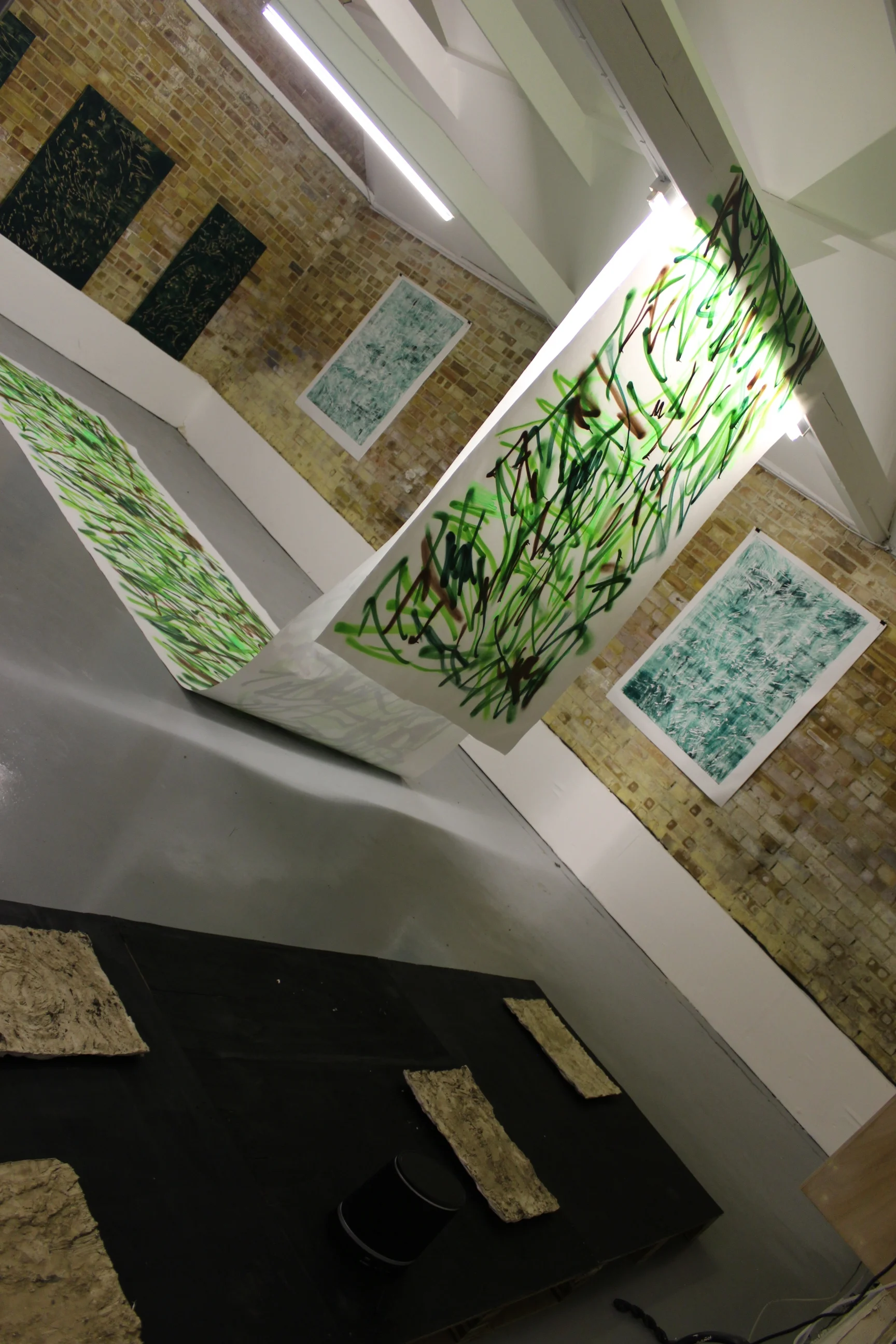 Swans on Heroin (Installation view) 