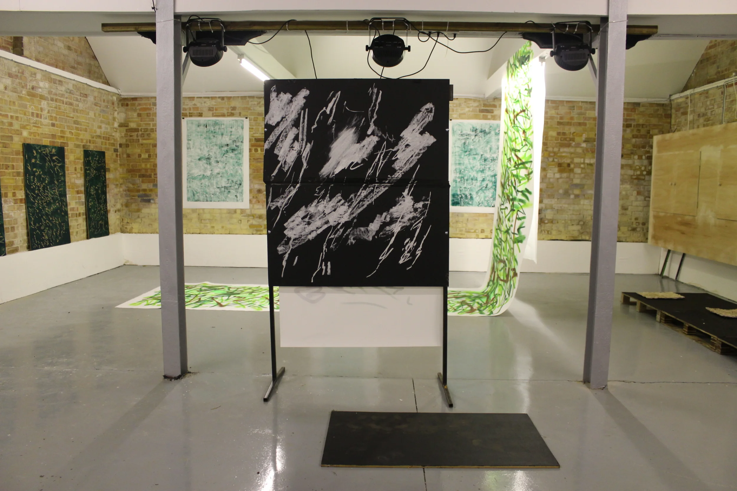 Swans on Heroin (Installation view) 
