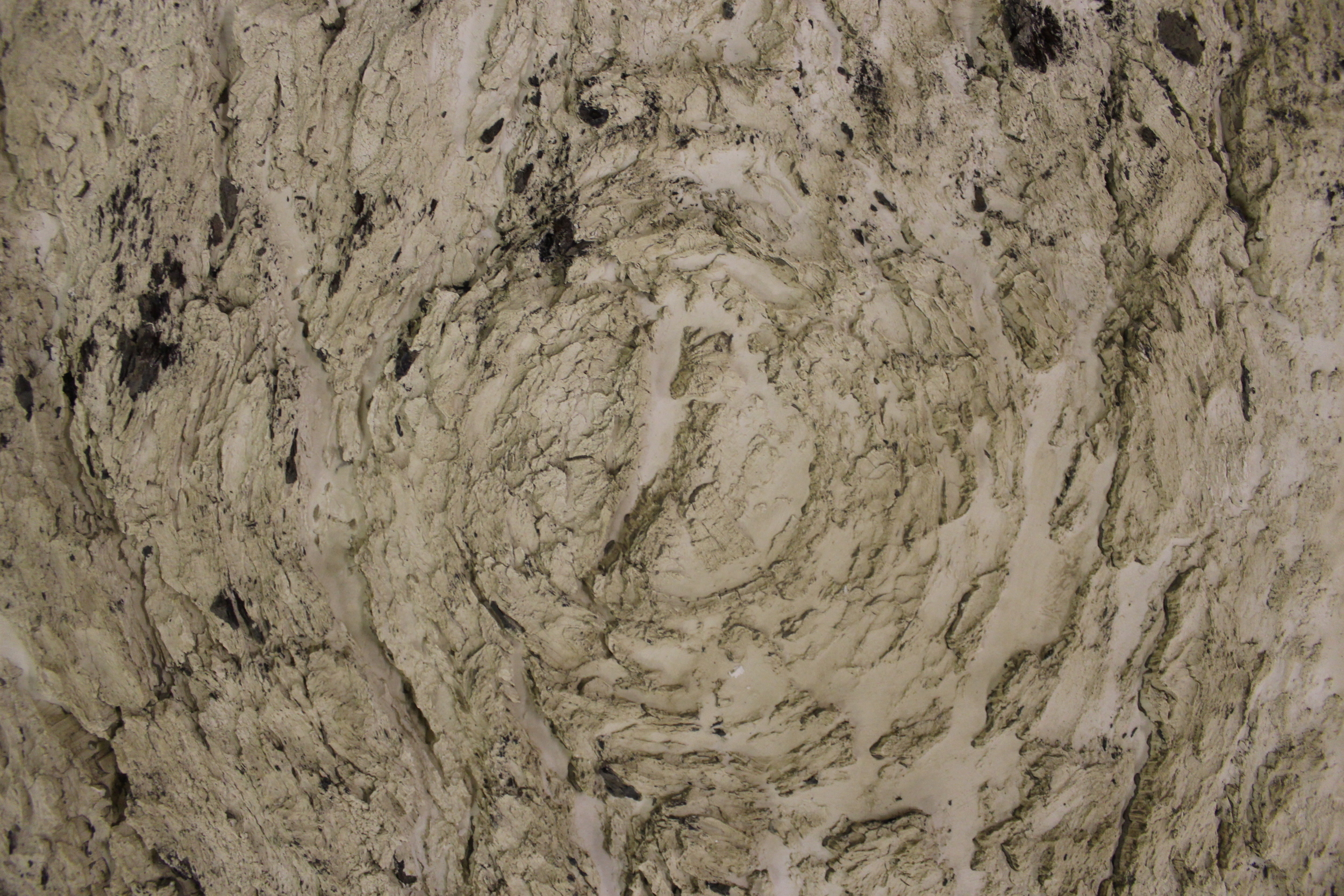 Swans on Heroin (Installation view) Plaster print