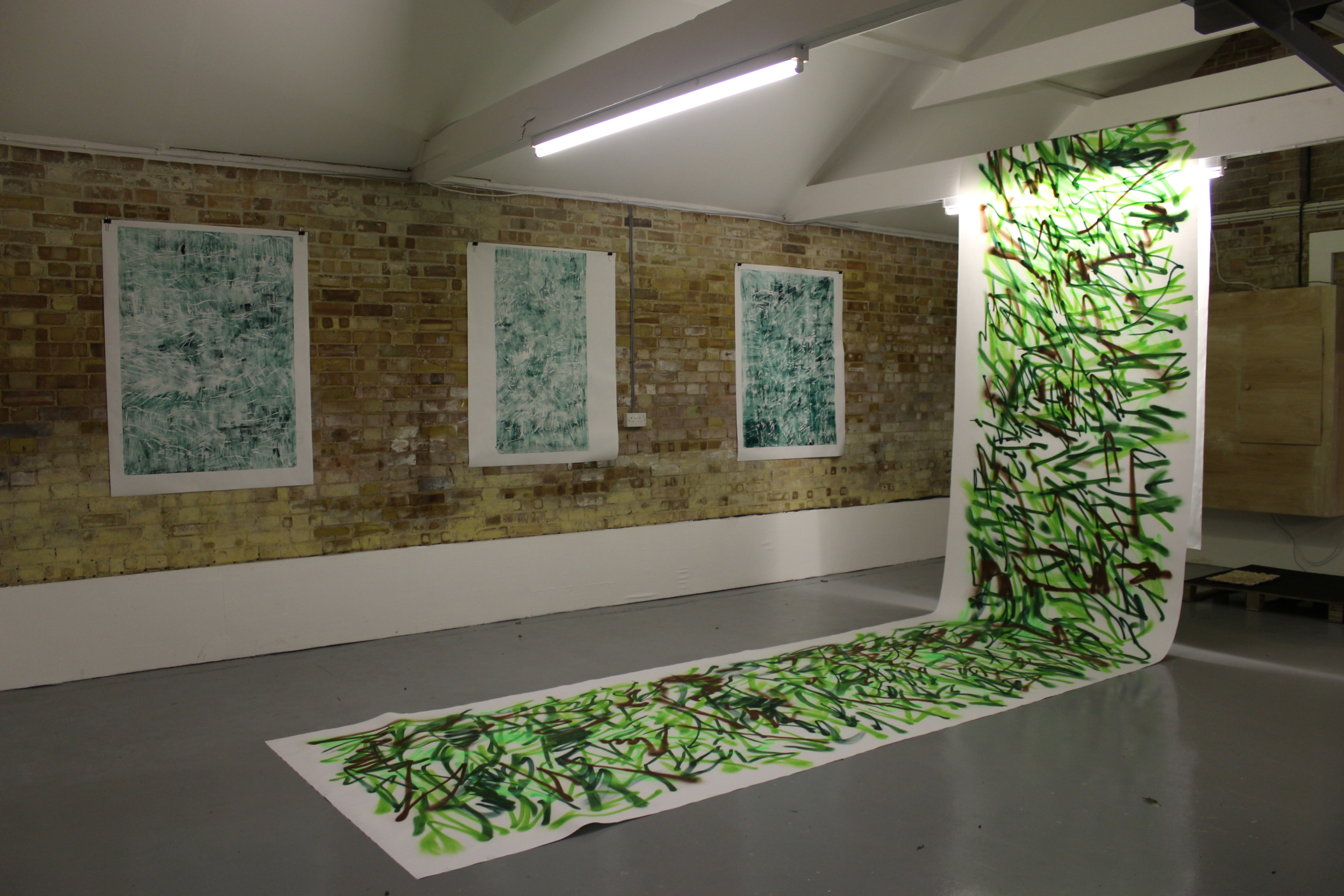 Swans on Heroin (Installation view)