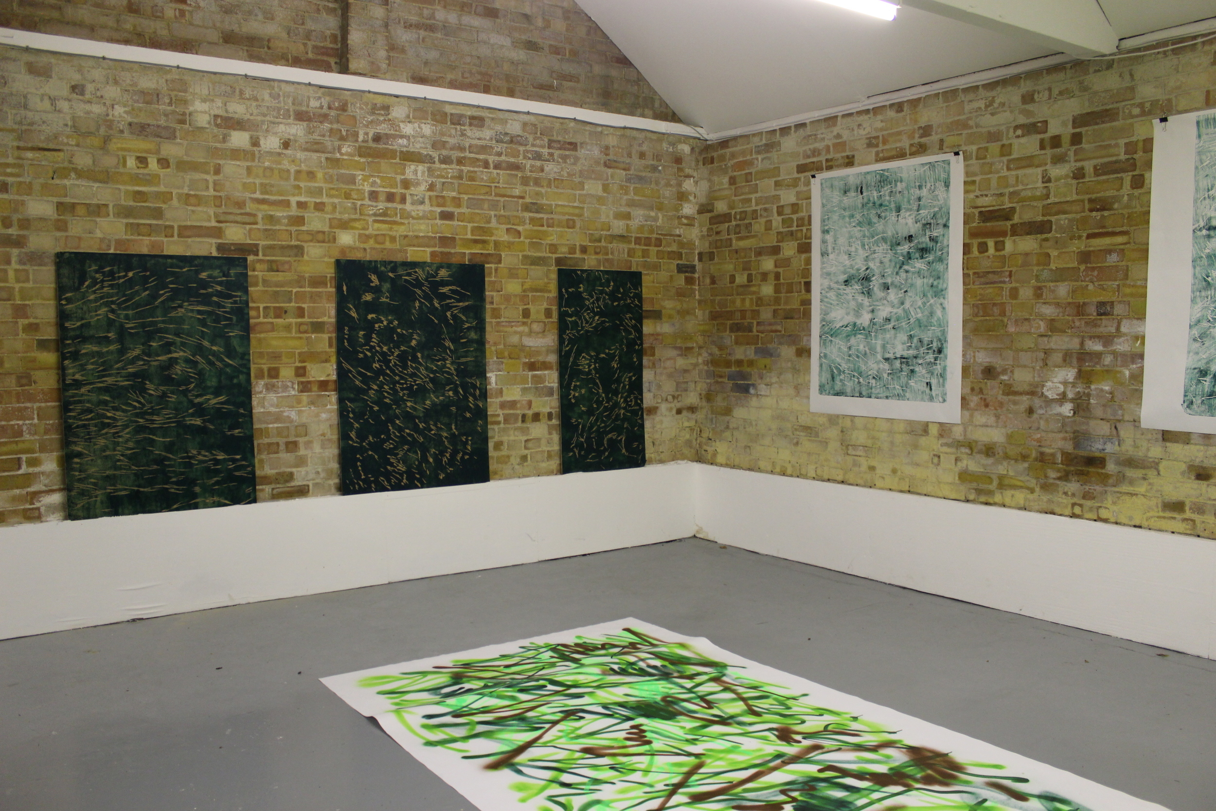 Swans on Heroin (Installation view) 