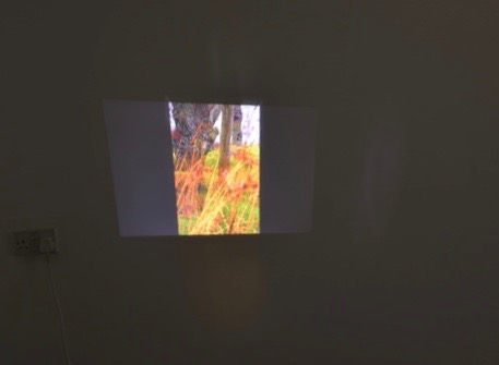 Hannah Cook, Slideshow , 2016