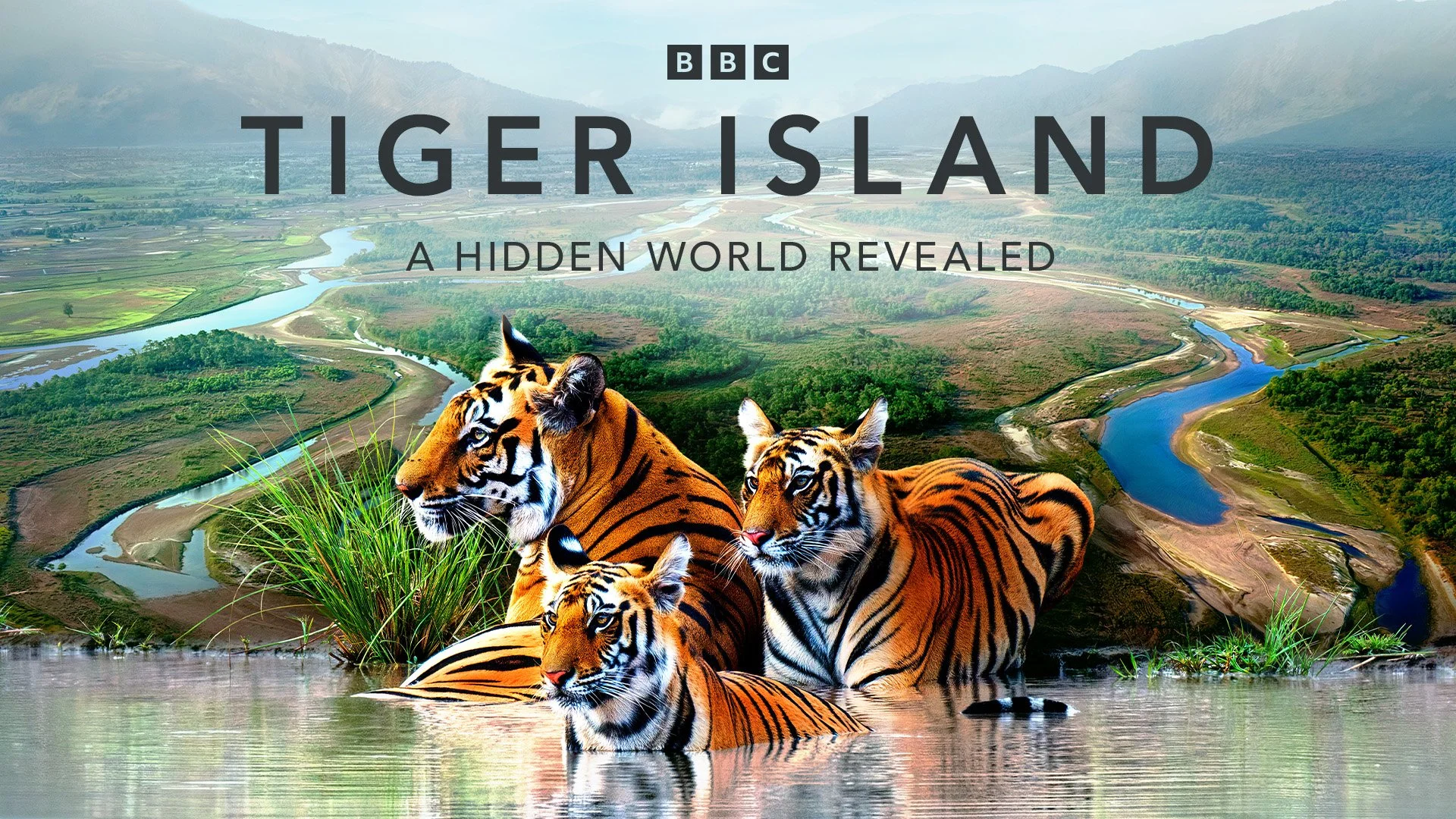 Tiger Island_Digital_16x9_HD_1920x1080px_RGB_TT.jpg