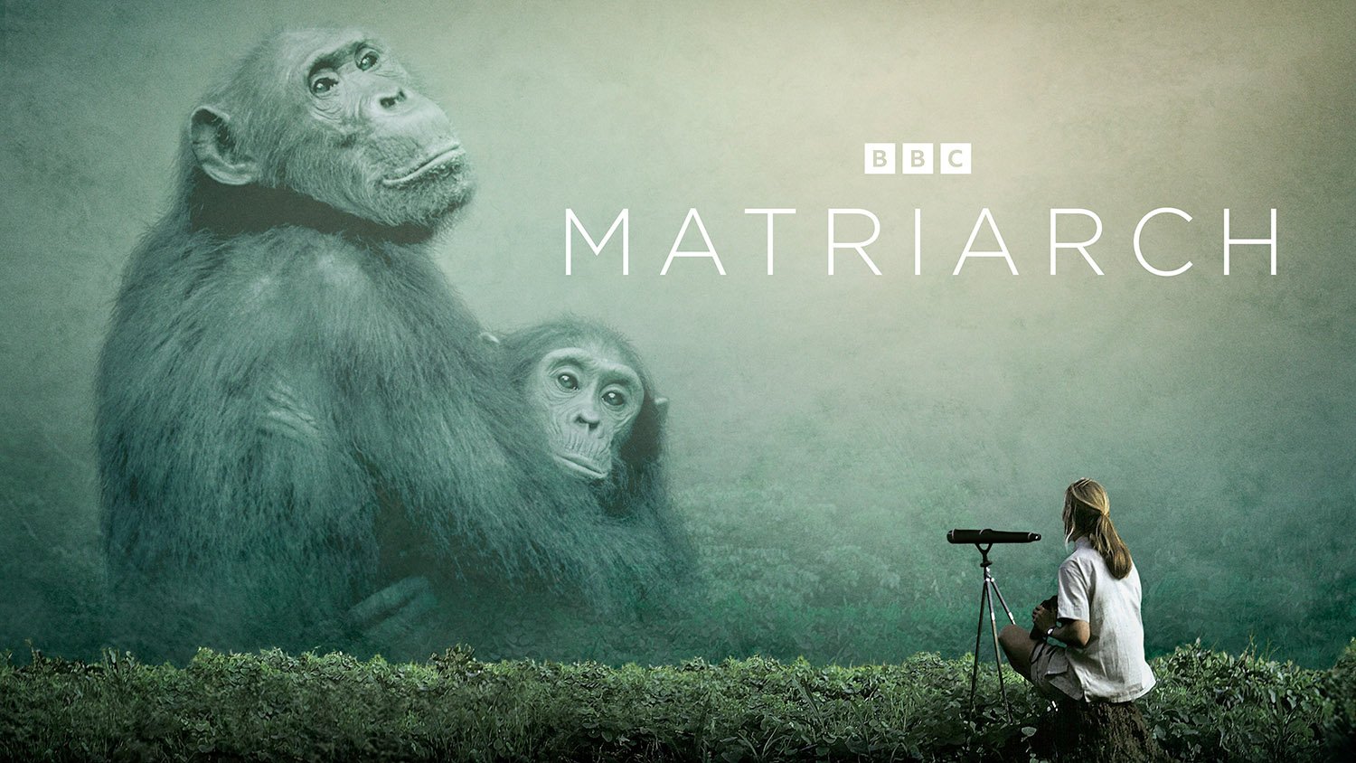 Matriarch 3840 x 2160px (Ratio- 16x9) V4 alt.jpg