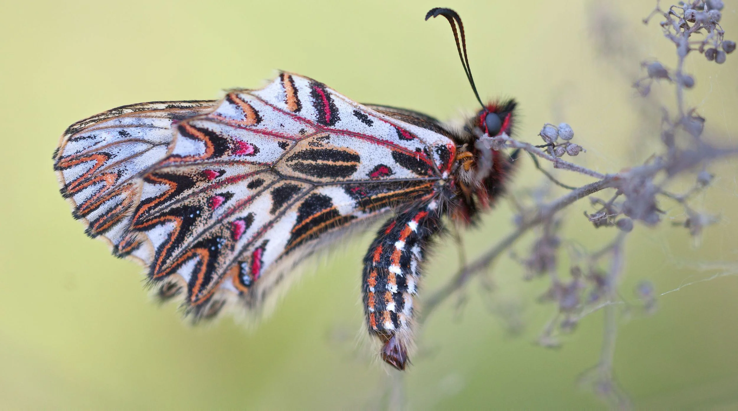 Calling To Transformation