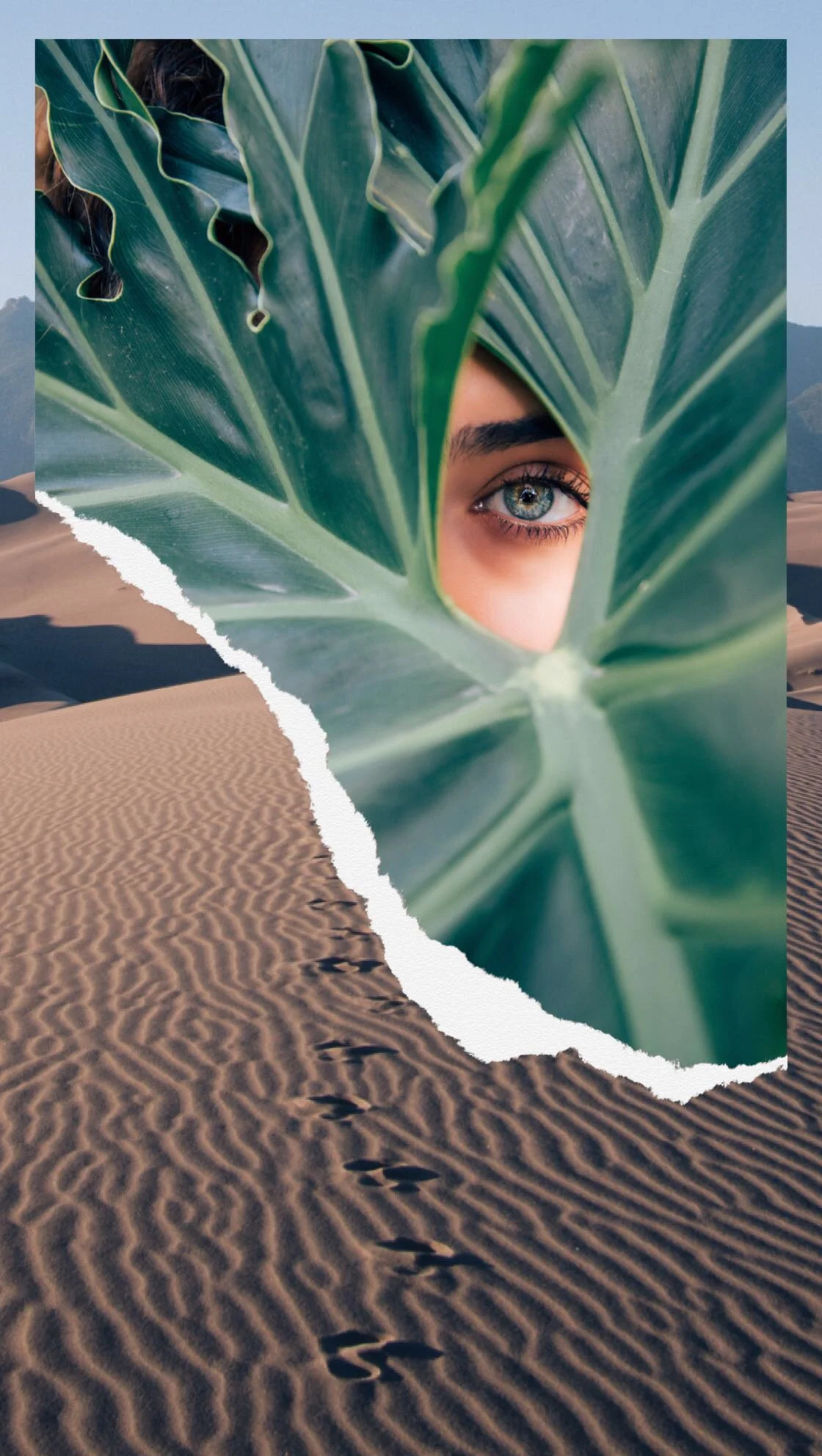 5 Dimensional Living Steps