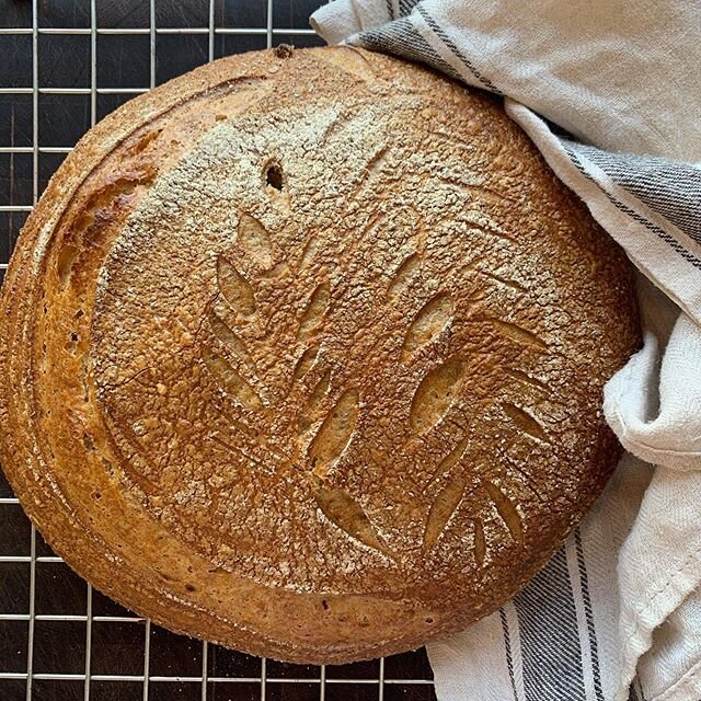 Coronabr&oslash;d? Eget speltmj&oslash;l, egen speltsurdeig, eget vann fra br&oslash;nnen, kun litt salt fra Danmark, du verden s&aring; godt det ble!! #speltbr&oslash;d #spelt #surdeig #hjemmebaking #surdeigp&aring;spelt #surdeigstarter #ousdalg&ari