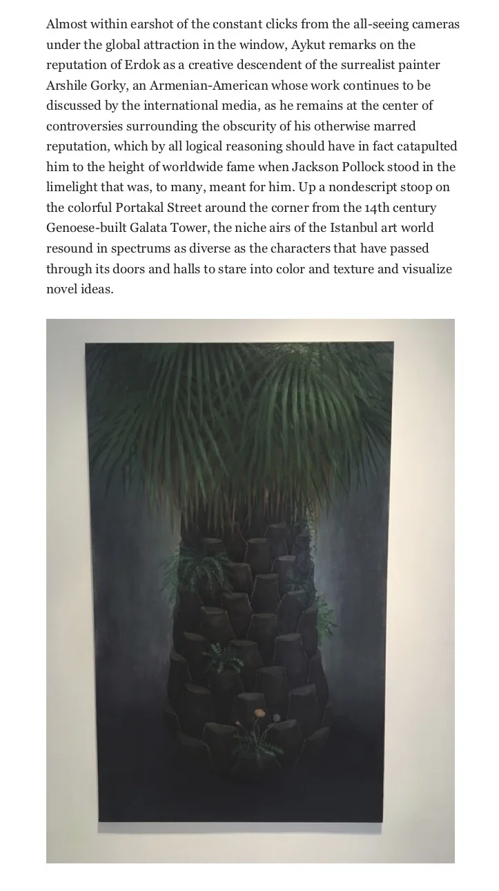 Elements of primitivism: Aylin Zaptçıoğlu advances with Öktem&Aykut - Daily Sabah2.jpg
