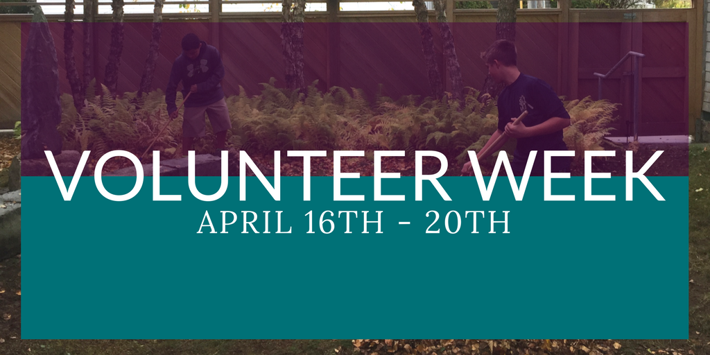 Volunteer Blog Image.png