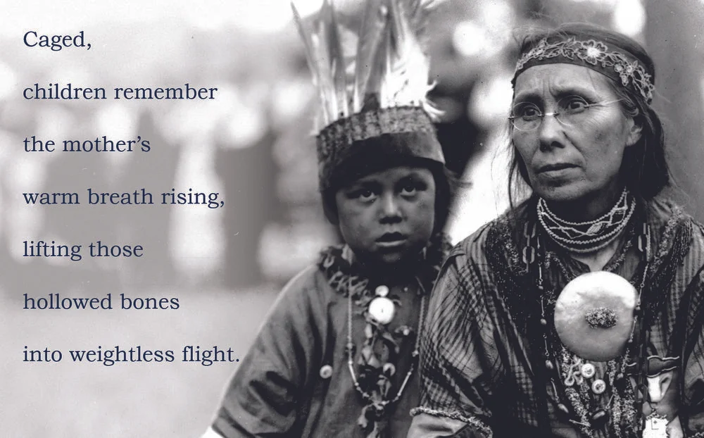 Look Twice: The Waponahki in Image and Verse (2010)