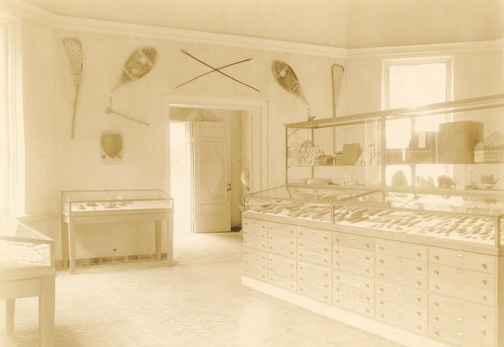 Dr. Abbe's Stone Age Museum (ongoing)
