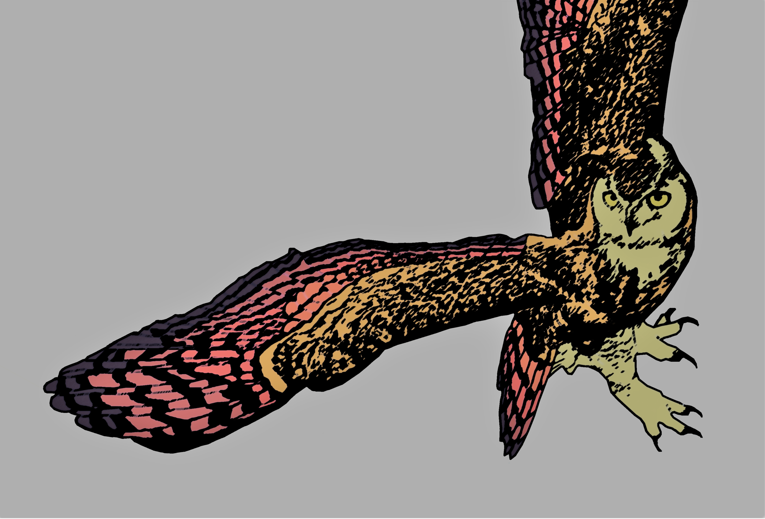 Just-Owl.png