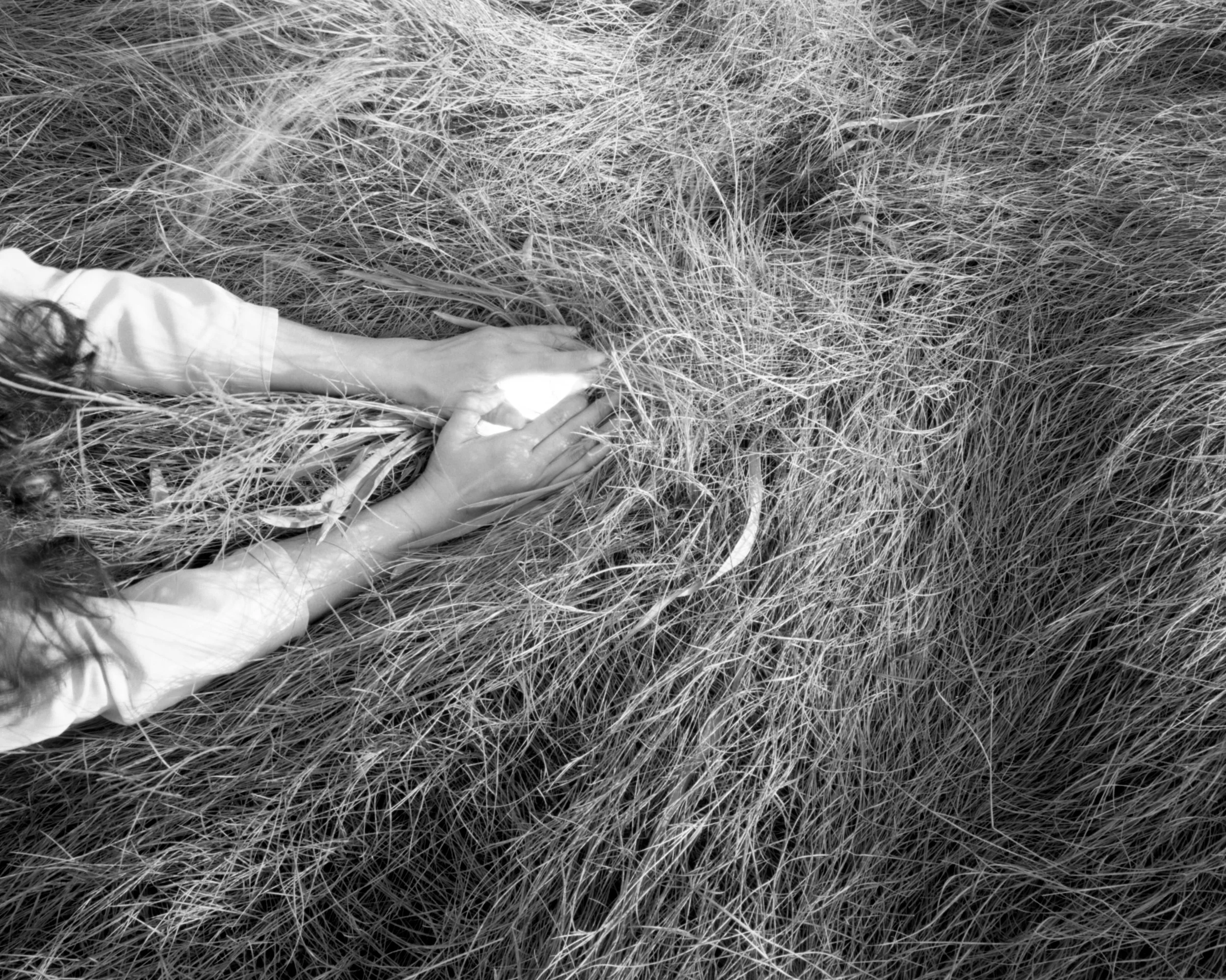 Slipping Photograph | Maya Attean Abbe Museum