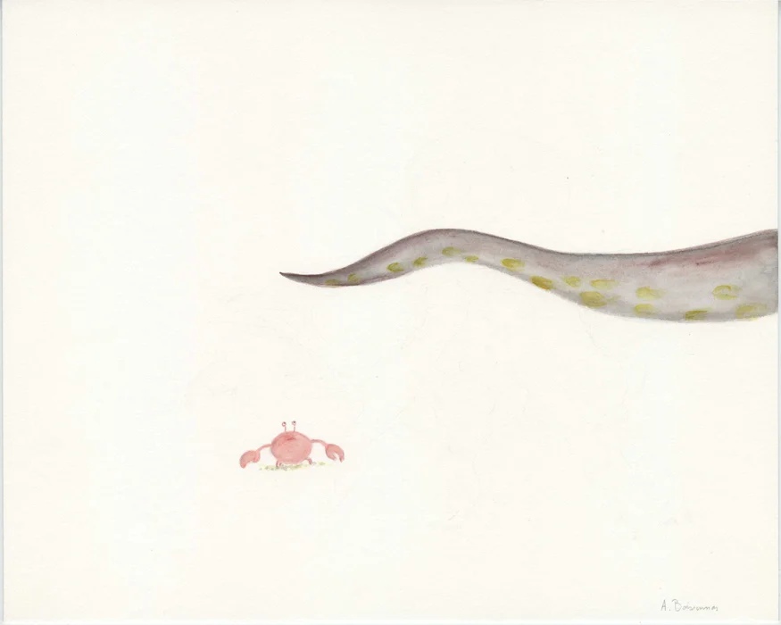 tentacule 24x30.jpg