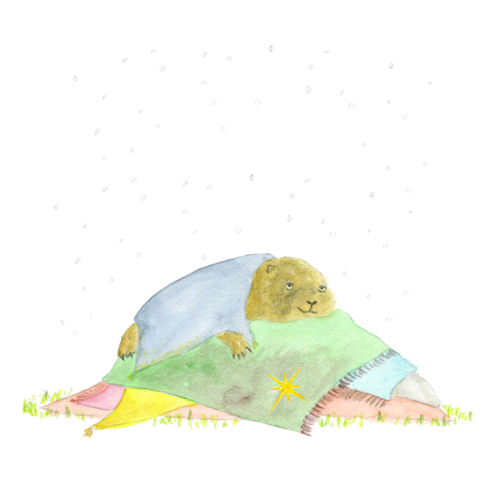 Plaids Illustration originale pour le blog Auguste et Ava .