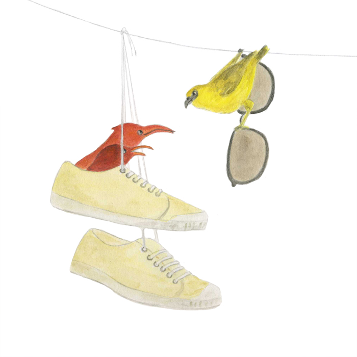 Spring court et maui Jim Illustration originale pour le blog Auguste et Ava .