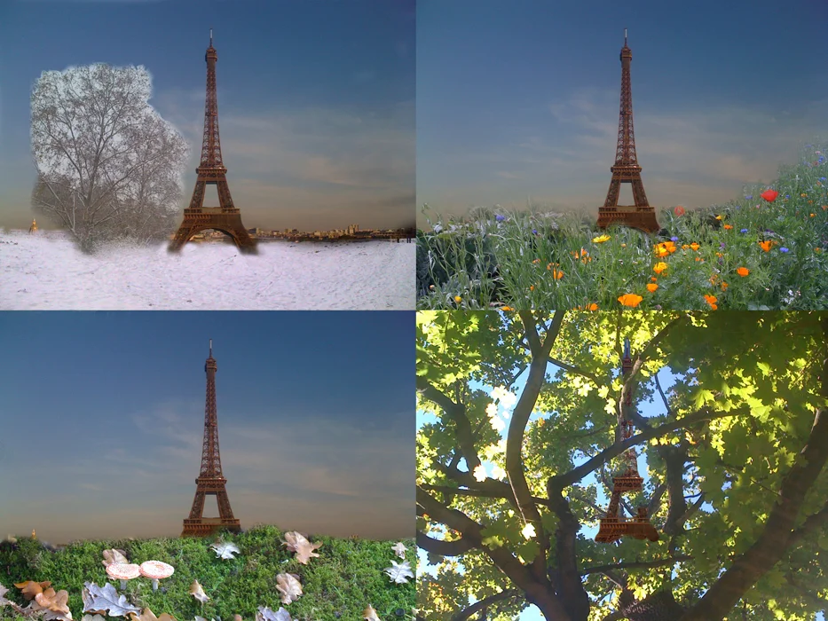 Les quatre saisons 2012
