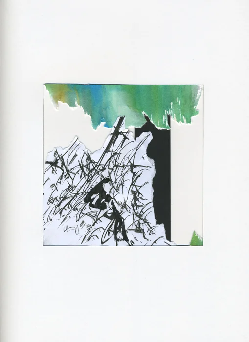 Forêt Collage