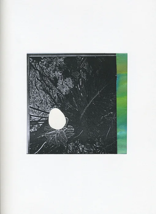 Oeuf forêt Collage