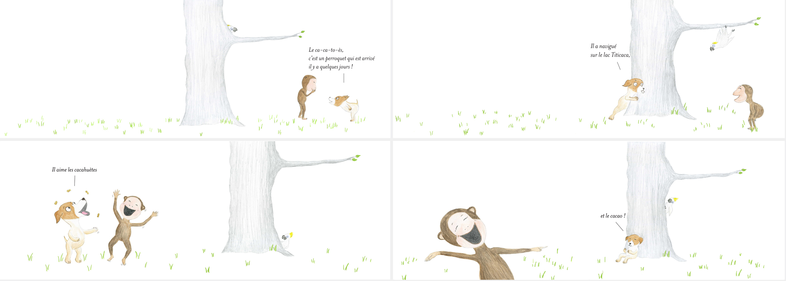 Extraits du livre Le cacatoès Écrit et illustré par Aude Boissonnas.