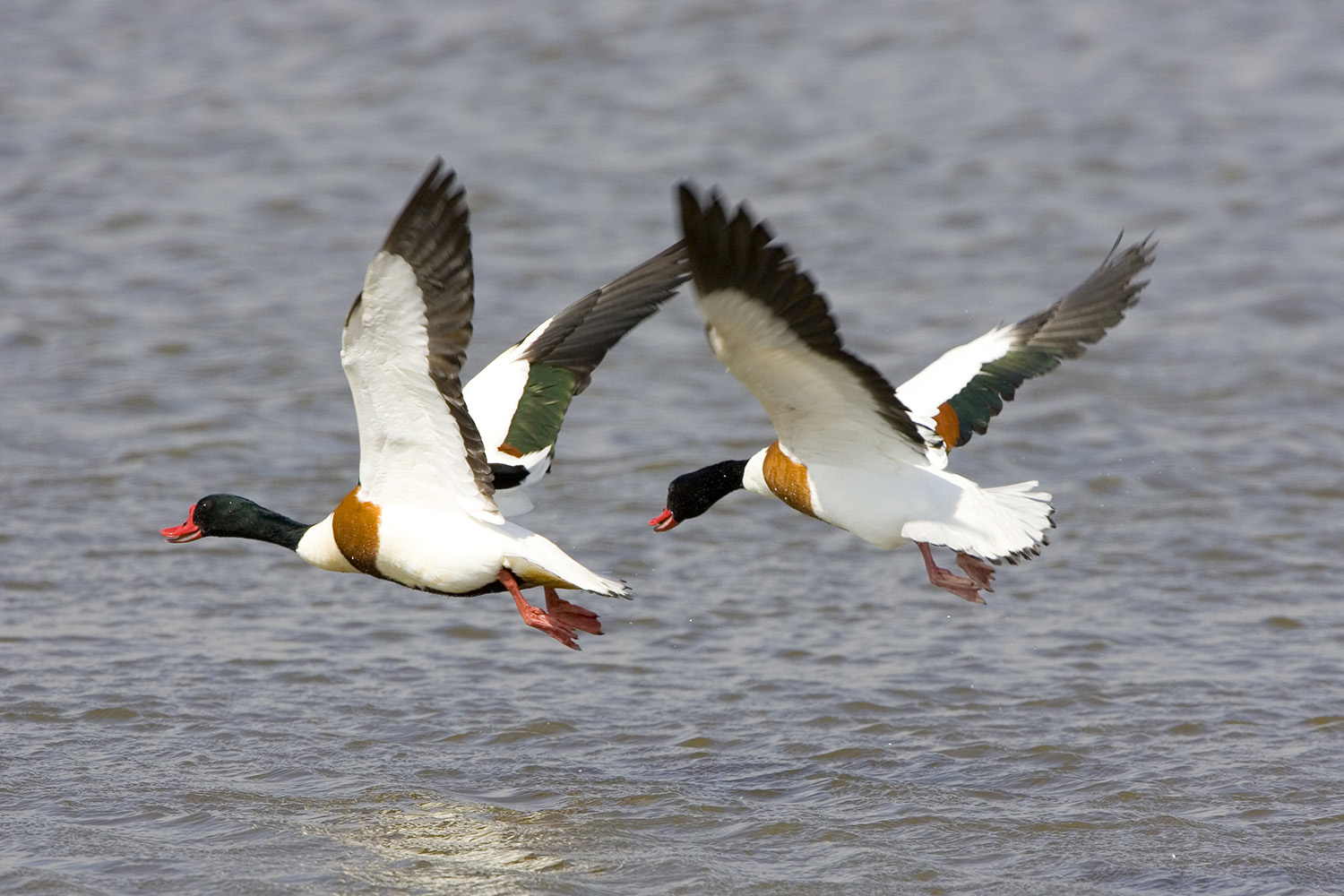 Welcome The Lower Ure Conservation Trust What to see this season