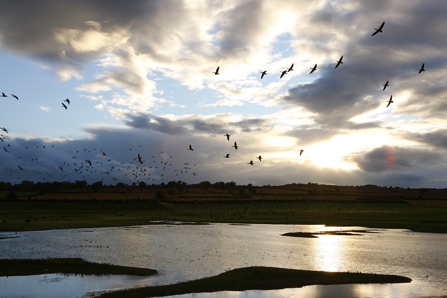Nosterfield Nature Reserve
