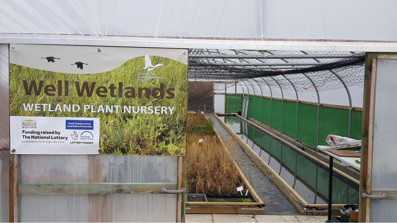 Wetland Plant Nursery