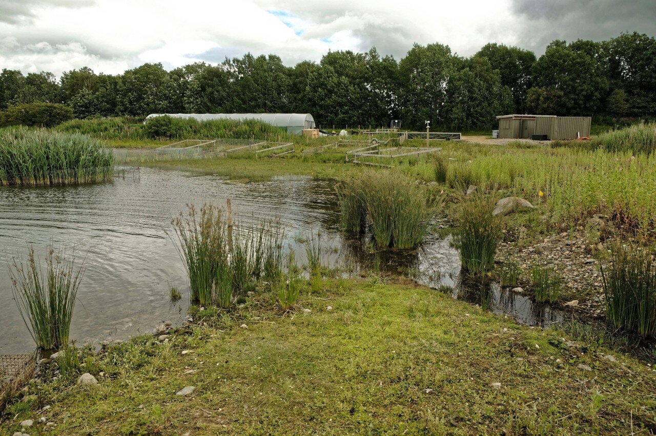 Wetlands Plant Nursery site