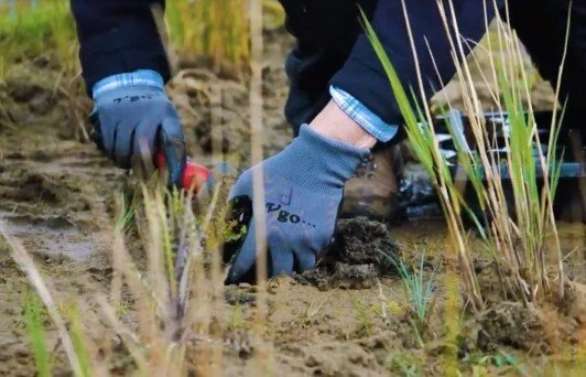 The Lower Ure Conservation Trust