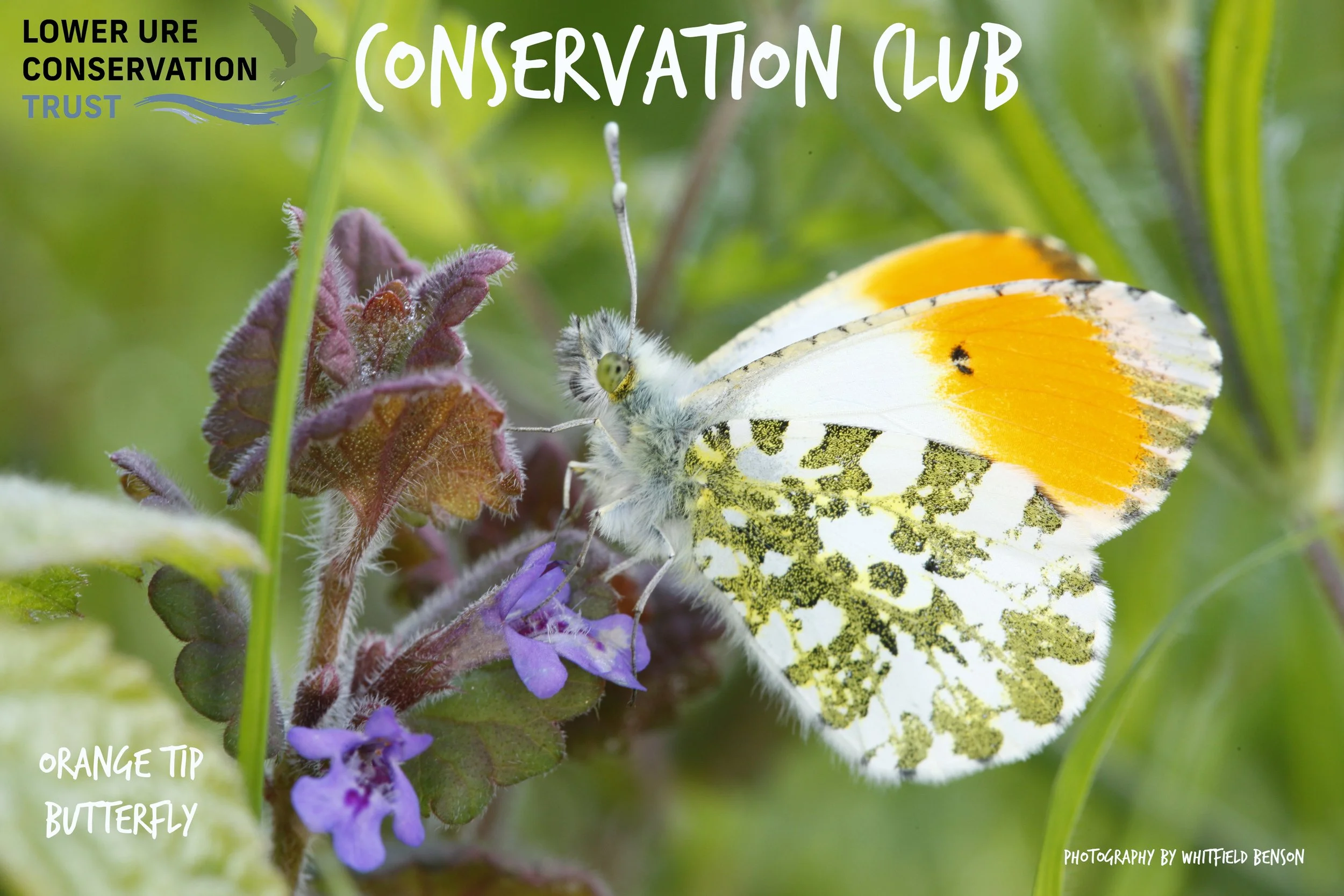 Conservation Club for Young People Aged 6-18 Years