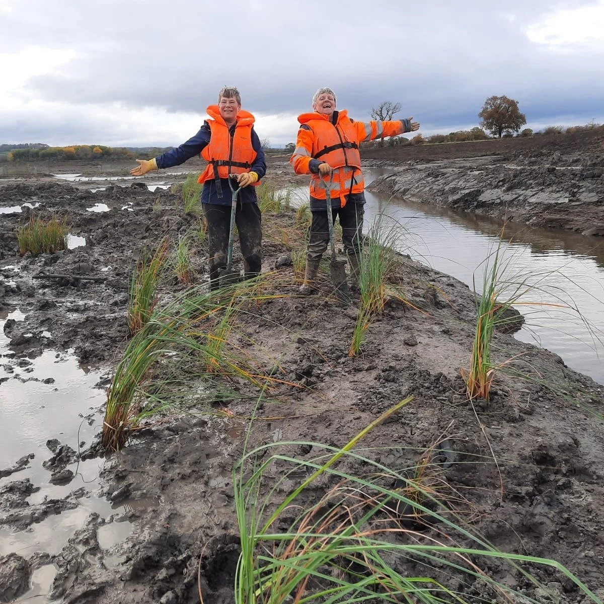 Exciting news! 

Our volunteers have been hard at work planting into this area near Nosterfield Quarry, where 200,000 tonnes of soil have recently been prepared. 

Over the next few years it will be planted with species-rich fen and reedbed grown in 