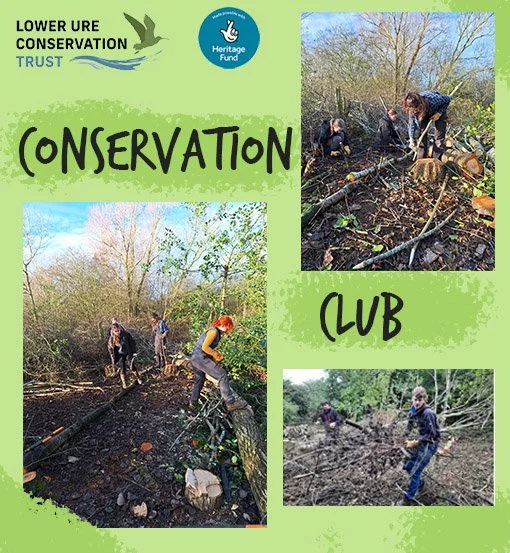 December Conservation Club