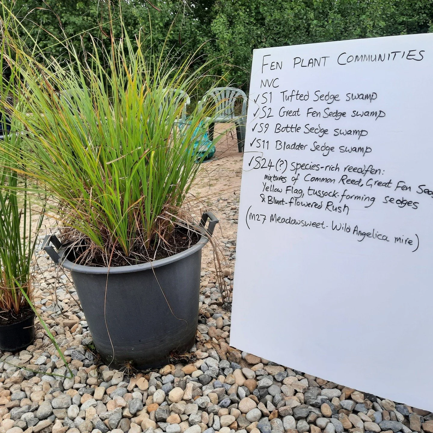 #5 This summer saw our 5th fen creation workshop at the nursery as part of The National Lottery Heritage Fund project. You can find out more about our wetland plant nursery, including a range of plant propagation techniques here: https://www.luct.org