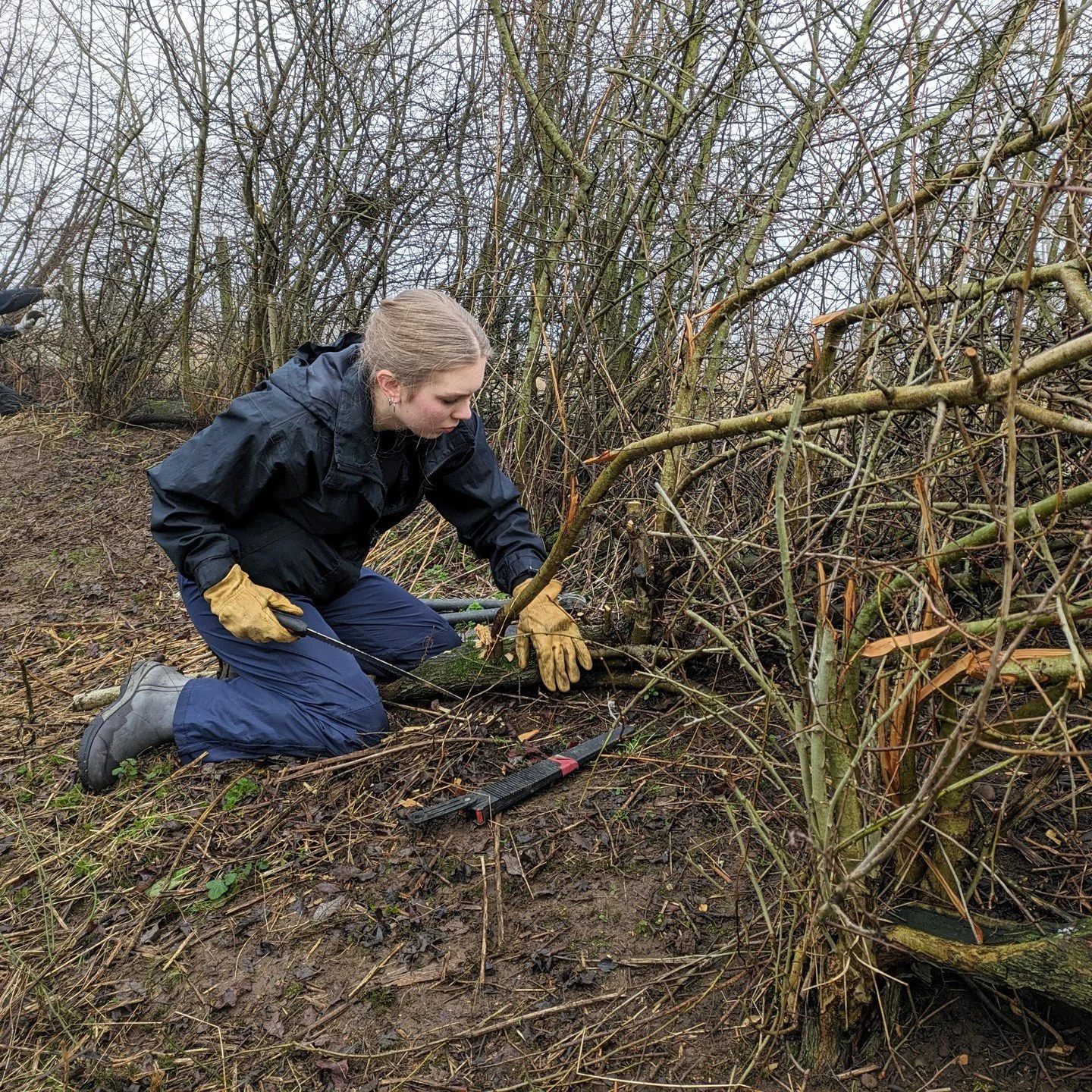 #14 Throughout the project, we&rsquo;ve had 14 conservation club sessions! Conservation club is LUCT's volunteering opportunity for young people aged 6-18 years and it takes place on a Saturday morning every other month. 
Many thanks to all the young