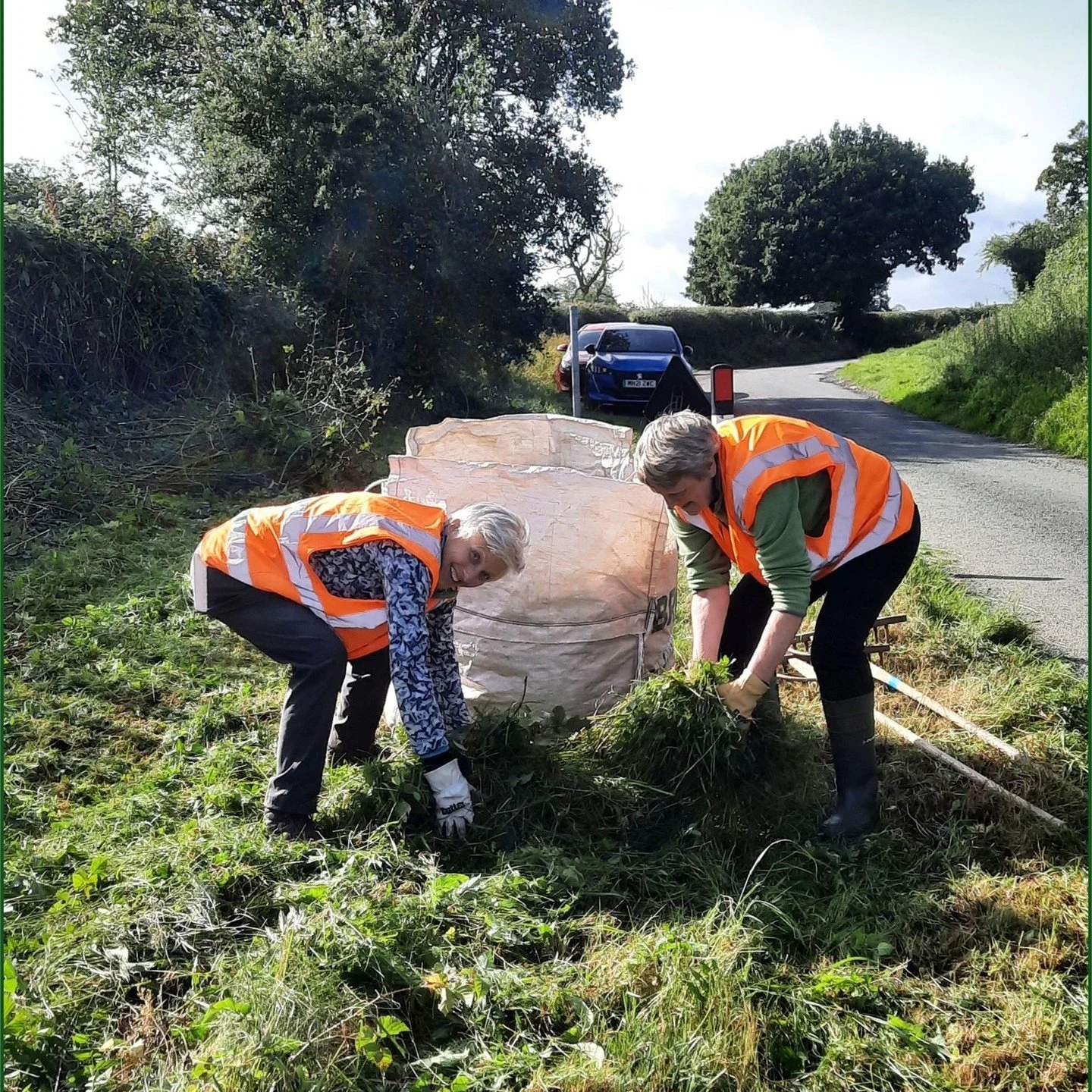 15: Today&rsquo;s post celebrates LUCT's partnership work with @englishheritage , @stjohnssharow &amp; private landowners to deliver conservation at several locations in the Lower Ure valley. This includes Farnham Bank, a high quality magnesian limes