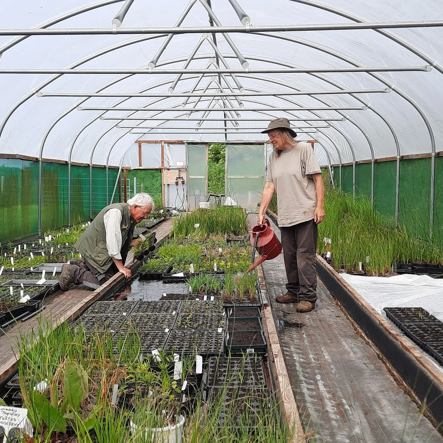 16: In the next two posts, we'll focus on LUCT's plant nursery highlights:
Over 5,500 plants sent out to external projects
Approximately 1,500 plants planted in Langwith, with about 3,300 more ready to go
Worked with at least 4 other wildlife/conserv