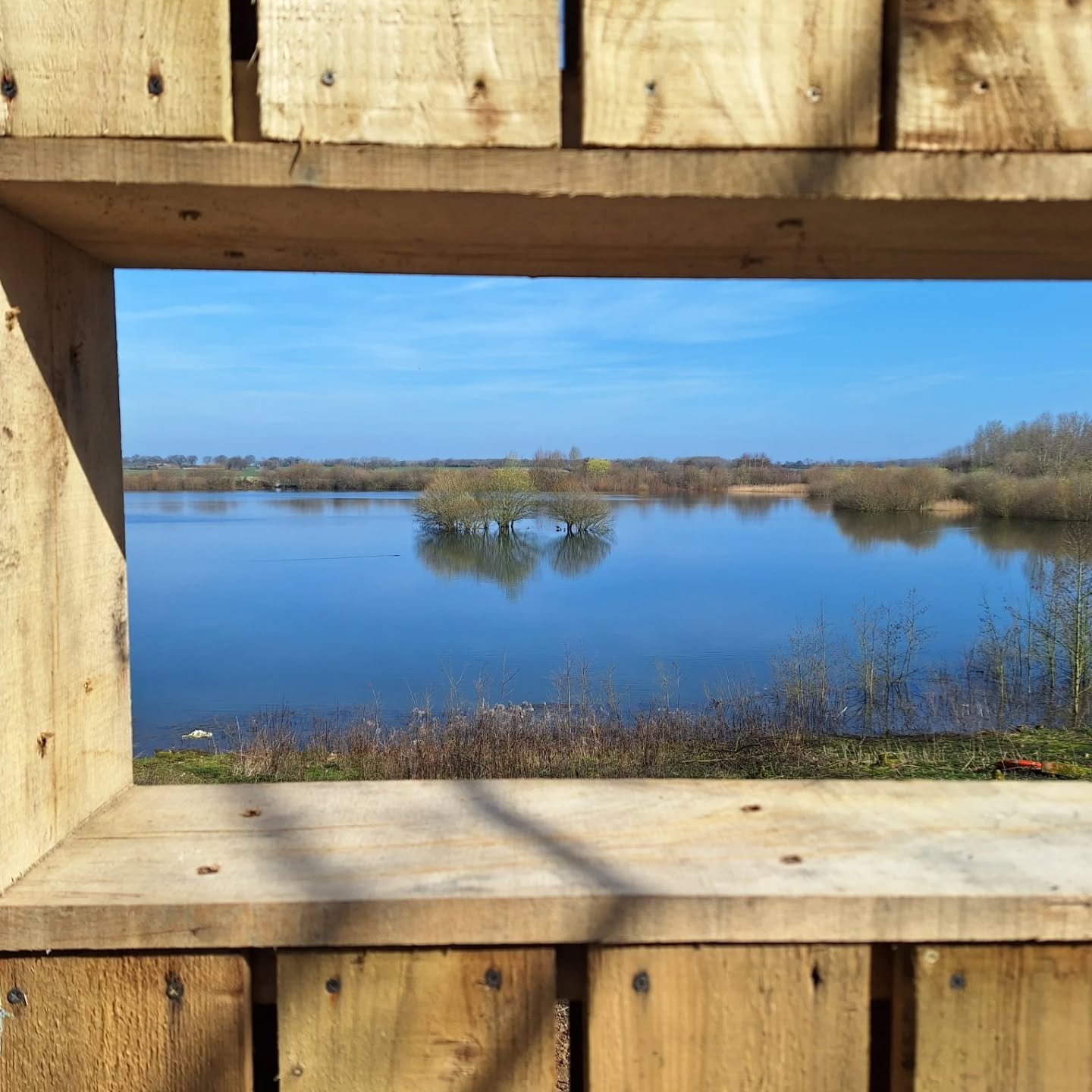 A beautiful morning at Nosterfield Quarry for our wellbeing walk!

We saw Great Crested Grebe's courtship display, Gadwall, Teal and Wigeon from the fantastic new viewing screen at Kiln, built by LUCT volunteers. 

Lovely to see Brimstone butterflies