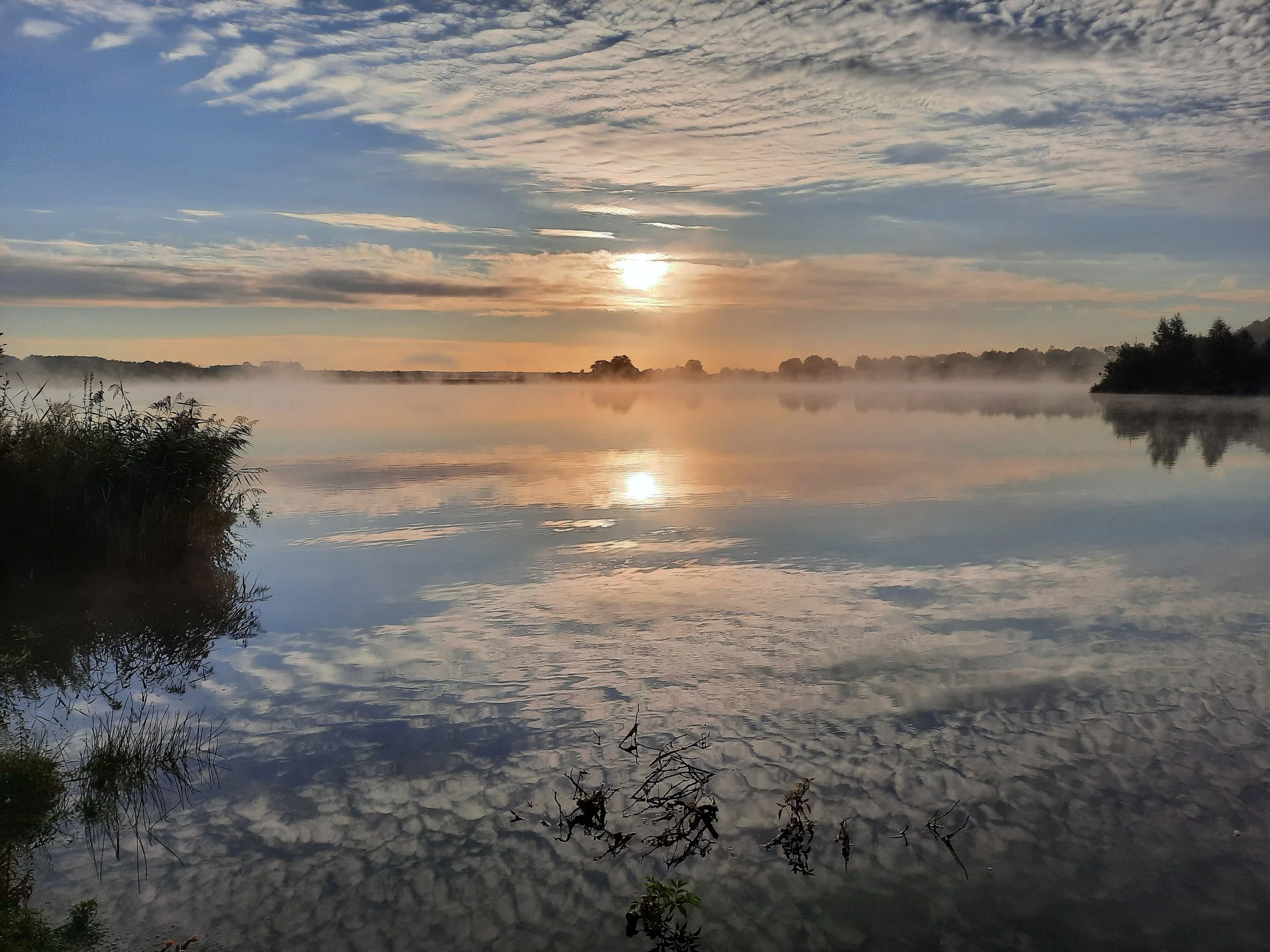 Applications open for Assistant Reserves Warden role